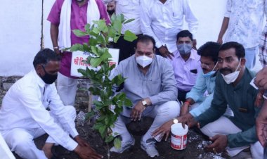 नयागांव राजस्‍थान सीमा से नीमच कॉलेज तक वृहद पौधारोपण कार्यक्रम की हुई शुरूआत  विधायक श्री परिहार एवं जिला पंचायत प्रधान श्रीमती जाट ने पौधारोपण कर  वृहद वृक्षारोपण कार्यक्रम का किया शुभारंभ  सडक के दोनो ओर जनभागीदारी से रौंपे जाएगे पांच हजार पौधे