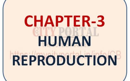CHAPTER-3 HUMAN REPRODUCTION