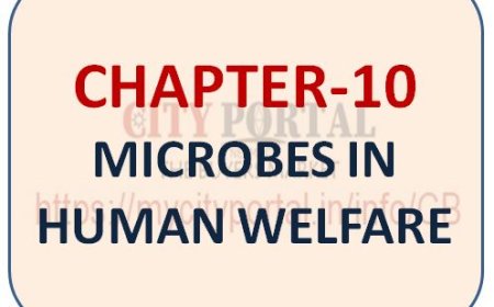 CHAPTER-10 MICROBES IN HUMAN WELFARE