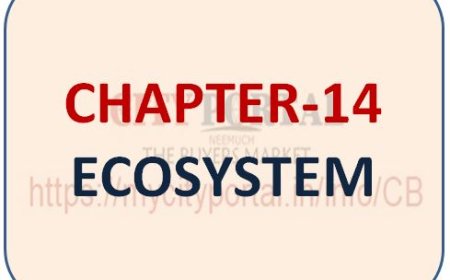 CLICK HERE TO DOWNLOAD- CHAPTER-14 ECOSYSTEM