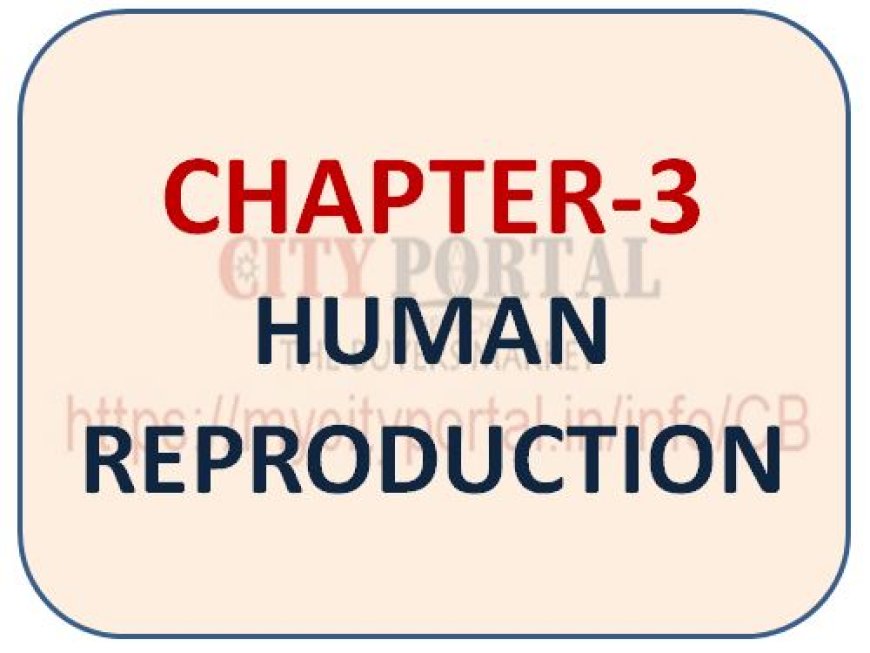 CHAPTER-3 HUMAN REPRODUCTION