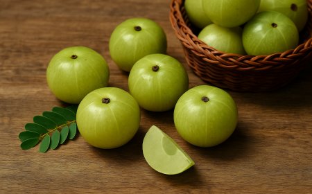 आंवला: आधुनिक रोग प्रतिरोधक क्षमता के लिए प्राचीन सुपरफ्रूट (Amla: The Ancient Superfruit for Modern Immunity)