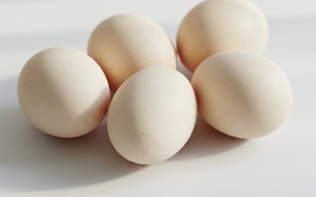 अंडा: मांसपेशियों और मस्तिष्क के लिए प्रोटीन पावरहाउस (Eggs: Protein Power for Muscles and Mind)