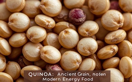 Quinoa: Ancient Grain, Modern Energy Food