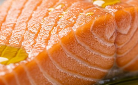 सैल्मन और डीएचए: समुद्र से मस्तिष्क के लिए पोषण (Salmon and DHA: Brain Food from the Sea)