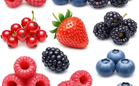 बेरीज़ में मौजूद एंटीऑक्सीडेंट कैसे तनाव से लड़ते हैं (How Antioxidants in Berries Combat Stress)
