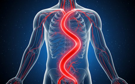 आयरन के अवशोषण को बढ़ाने वाले खाद्य पदार्थ (Foods That Enhance Iron Absorption Naturally)