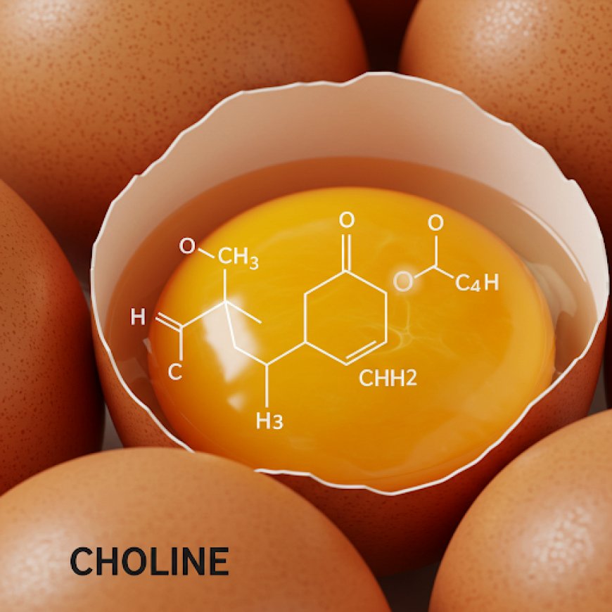 अंडा और कोलीन: मस्तिष्क के संदेशवाहकों का पोषण (Eggs and Choline: Feeding the Brain's Messengers)
