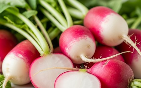 मूली: लिवर को डिटॉक्स करने के प्राकृतिक फायदे (The Benefits of Radishes for Liver Detox)